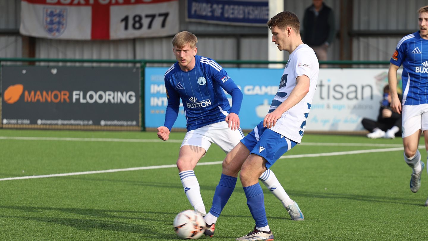 Image of palm trees and car